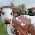 Ibis Coeur De Normandie