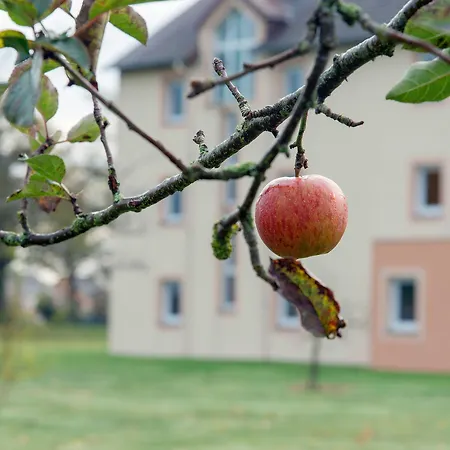 Ibis Coeur De Normandie Hotel Falaise (Calvados)