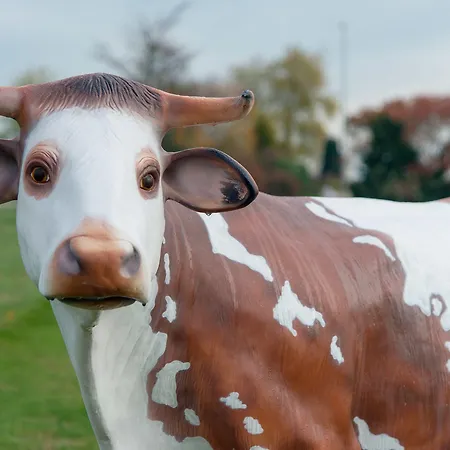 Ibis Coeur De Normandie