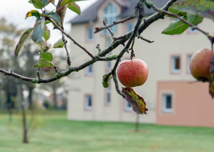 Ibis Coeur De Normandie Hotel Falaise (Calvados)