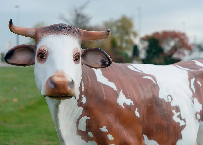 Ibis Coeur De Normandie
