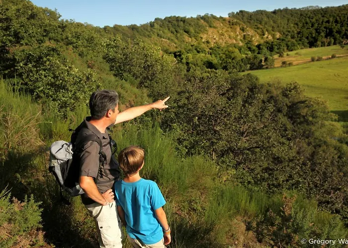 Ibis Coeur De Normandie 3*